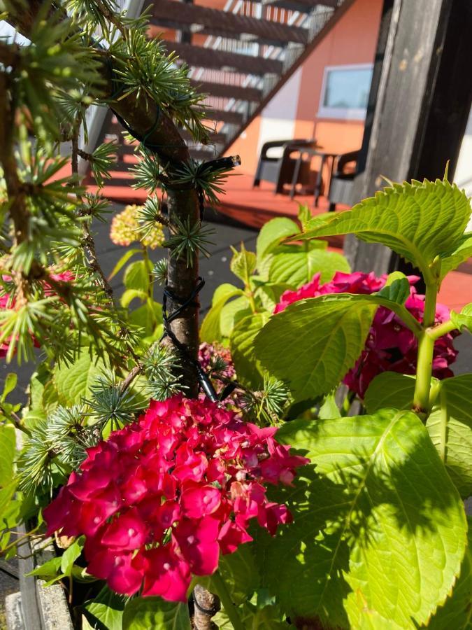 Flotmyrgarden Apartment Hotel Haugesund Luaran gambar